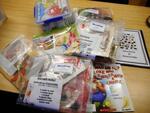 Insect Literacy Kit