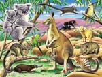 Australian Animal World Puzzle