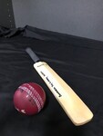 Mini Cricket Bat and Ball