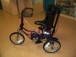 Freedom Concept DCP Tricycle 16