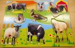 Farm Animals Peg Puzzle