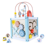 Activity Cube- Small