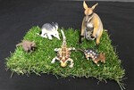 Australian Animal Set