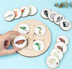 Life Cycles and Board