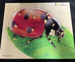Peg Puzzle - Lady Bug on Leaf 