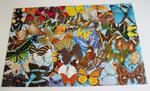 Floor Puzzle - Butterfly Tumble