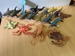 Marine Animals - Large Set