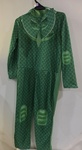 Gecko Costume from PJ Mask 