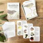The Bush Birds Card Game