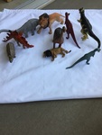 9 Dinosaurs and Animals 