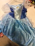 Blue princess dress