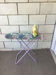 Iron and ironing Board