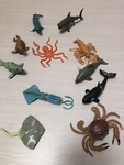 11 Sea Creatures 
