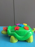 Turtle shape game 