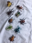 Large Bugs 