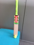 Cricket Bat + Ball