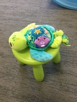 877: Turtle mum and baby