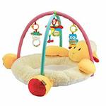 LAMB ACTIVITY ARCH & MAT