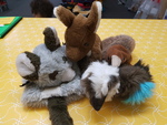 AUSTRALIAN ANIMAL PUPPETS