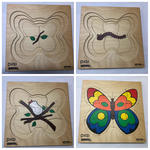 BUTTERFLY INSET GROW PUZZ