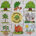 TREE LIFE CYCLE PUZZLE