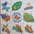 BUTTERFLY LIFE CYCLE PUZZLE