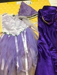 PURPLE PRINCESS DRESS & CAPE
