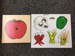 HEALTHY VEGETABLE & FRUIT PUZZLES