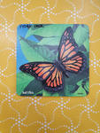 RAISED BUTTERFLY PUZZLE