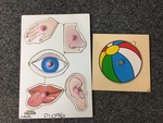 SENSES & BALL KNOB PUZZLEs