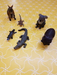 SET OF AUSTRALIAN ANIMALS