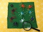 SPIDERS