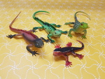 ASSORTED LIZARDS