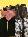 Cowboy Costumes