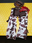 Cowboy Costume