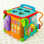 FP 5 Sided activity cube