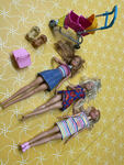 Picnic Barbie Set