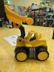 Small Yellow Digger