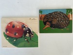 P3 029: Inset Puzzles - Ladybeetle & Echidna 