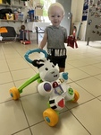 Fisher Price Zebra Baby Walker #1