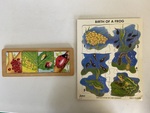 Lifecycle Sequence Puzzles - Frog & Ladybug 