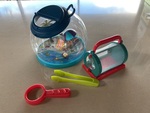 Bug Catching Set #3 