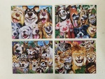 P8 050: Set of 4 Jigsaws - Animal Selfies 