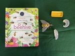 N2 018: Bee Life Cycle 