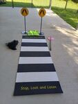 Zebra Crossing with Signs 
