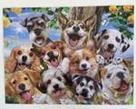 Jigsaw - Pups Parade Selfie 