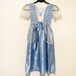 Cinderella Costume