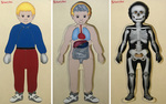 Tuzzles Layered Wooden Puzzle - Human Body
