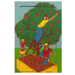 Fruit Picking Wooden Puzzle