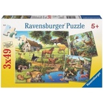 Ravensburger 3x49pc Puzzle - Animals in Habitats